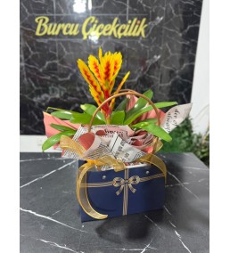 ÇANTADA VREZYA BİTKİSİ